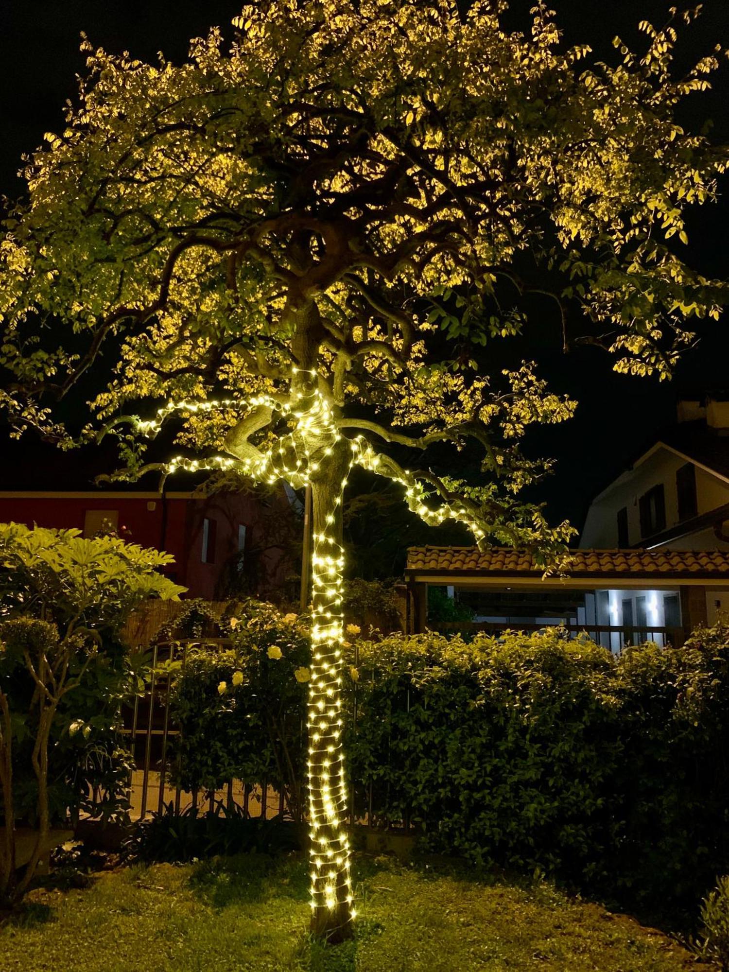 L'Angolo Verde Apartment 蒙卡列里 外观 照片