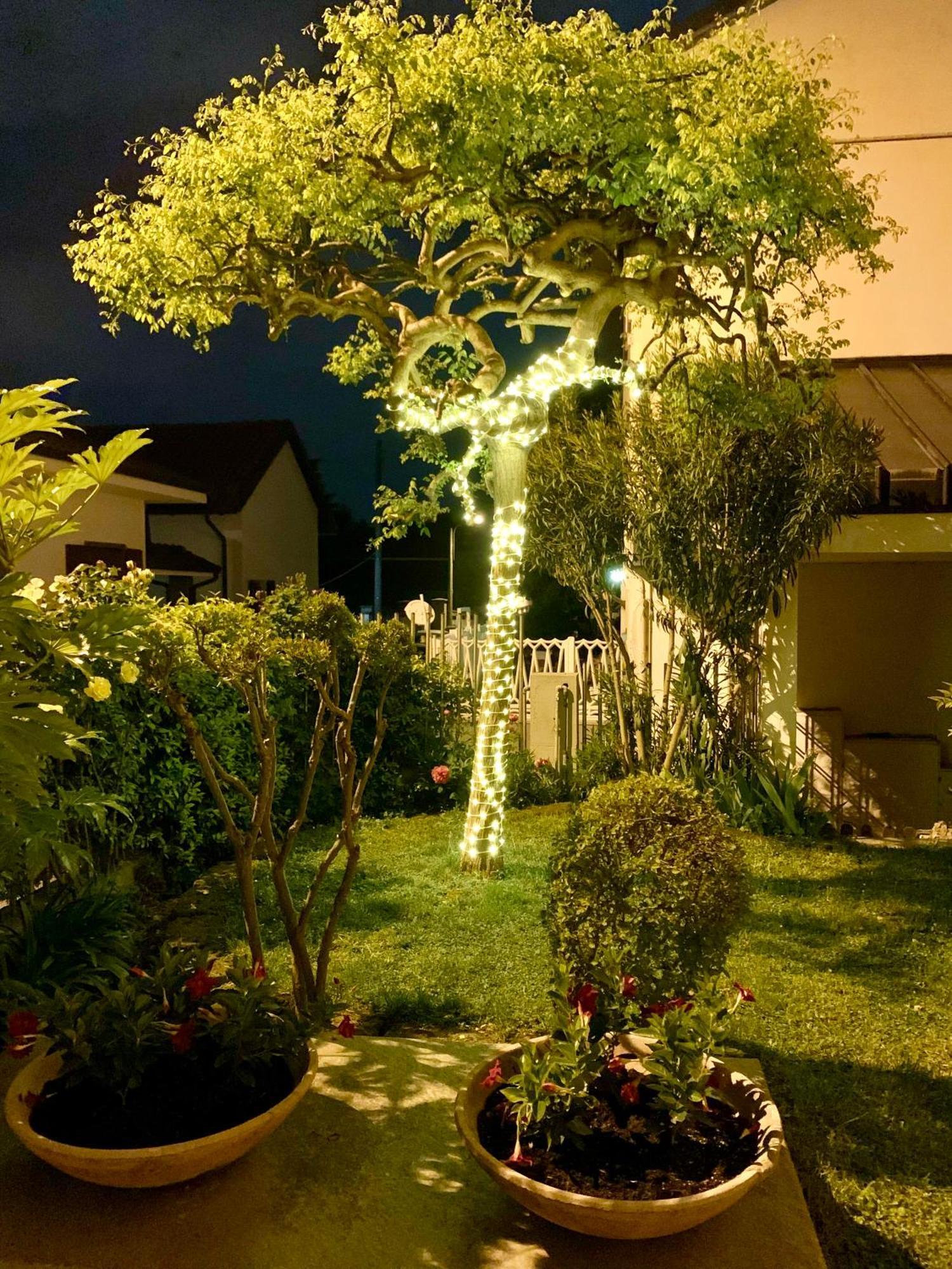 L'Angolo Verde Apartment 蒙卡列里 外观 照片